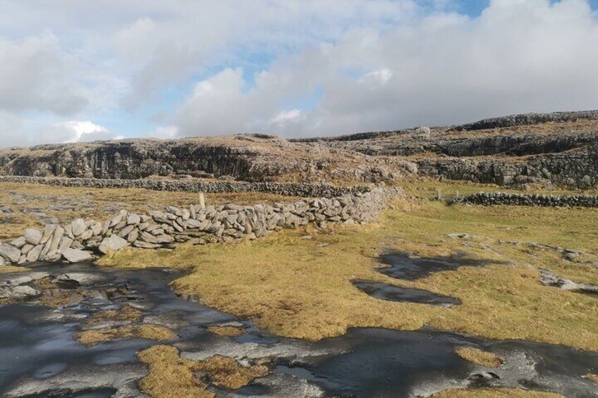 The Burren 