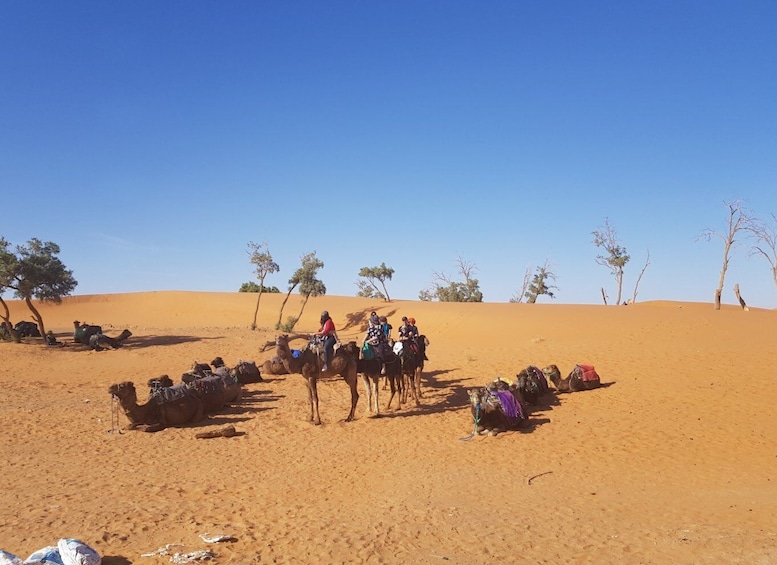 Picture 3 for Activity Fes: Merzouga Desert 2-Day Tour