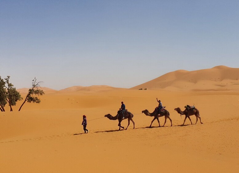 Fes: Merzouga Desert 2-Day Tour