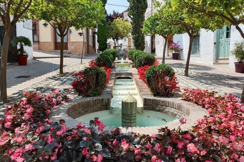 Estepona day trip from Marbella