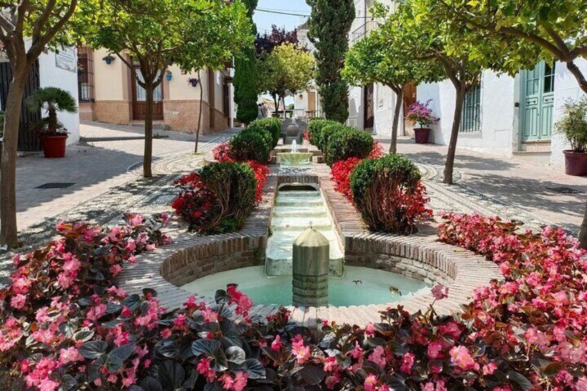 Estepona day trip from Marbella