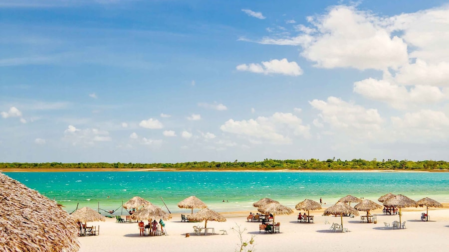 From Jericoacoara: Preá Beach and Paradise Lagoon Tour