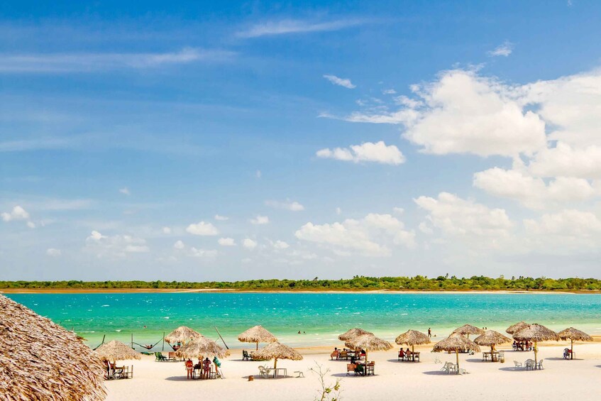 From Jericoacoara: Preá Beach and Paradise Lagoon Tour