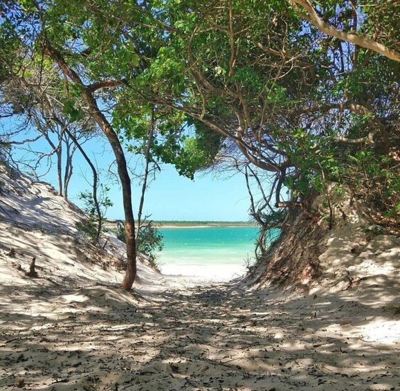 Picture 6 for Activity From Jericoacoara: Preá Beach and Paradise Lagoon Tour