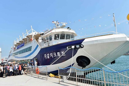 Busan: 90-Minute Afternoon Sightseeing Cruise