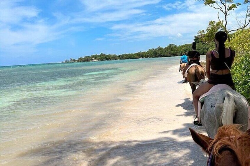 Dunn’s River Falls Bamboo Rafting and Horseback Ride Private Tour