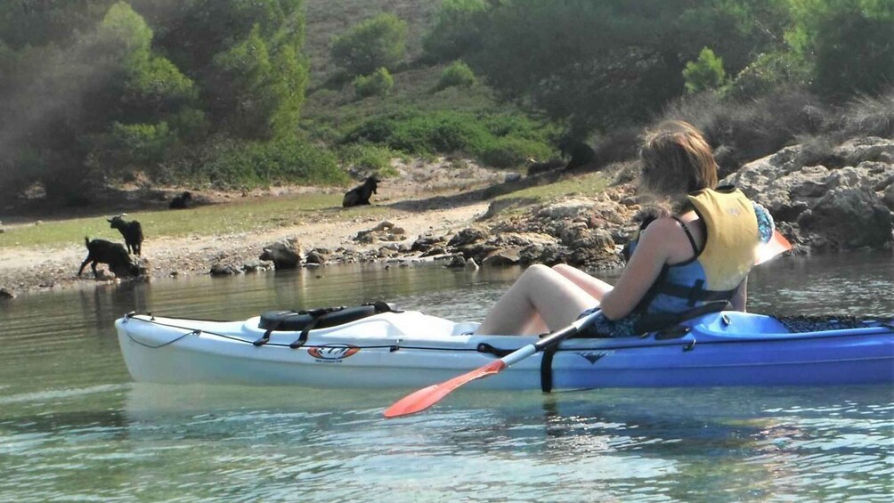 Picture 7 for Activity Menorca: Half-Day Kayak Excursion in Fornells