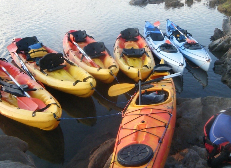 Picture 2 for Activity Menorca: Half-Day Kayak Excursion in Fornells