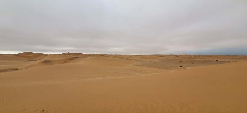 Picture 2 for Activity Swakopmund: Quad Biking Explorer Tour