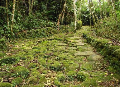 Paraty: Gold Trail Rainforest Hiking Tour