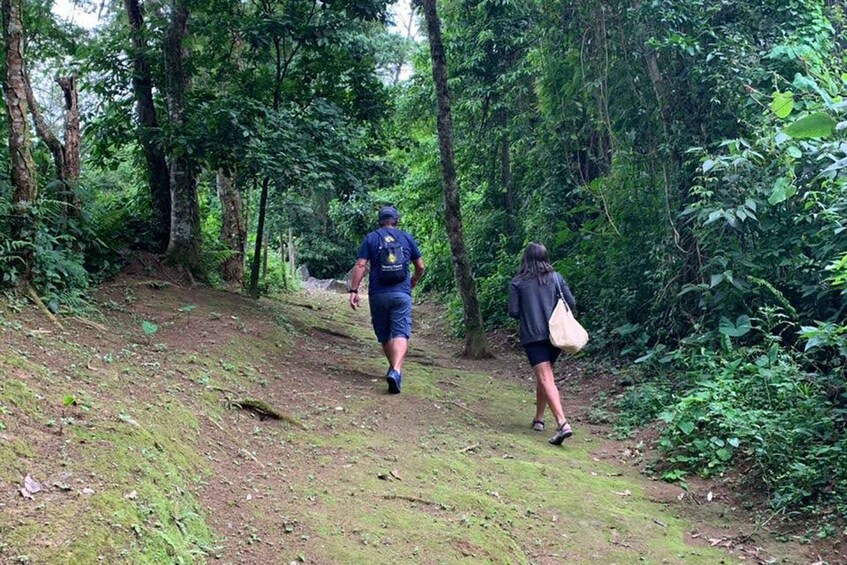 Picture 5 for Activity Paraty: Gold Trail Rainforest Hiking Tour