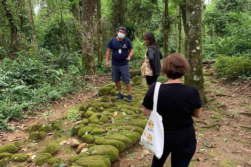 Picture 9 for Activity Paraty: Gold Trail Rainforest Hiking Tour