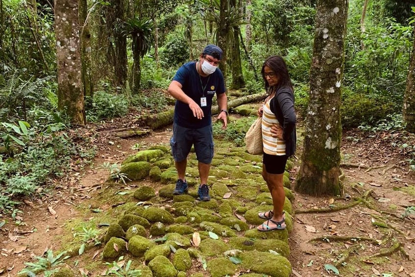 Picture 3 for Activity Paraty: Gold Trail Rainforest Hiking Tour