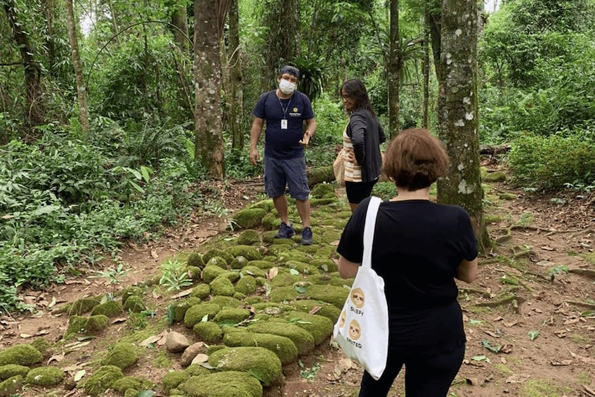 Picture 9 for Activity Paraty: Gold Trail Rainforest Hiking Tour