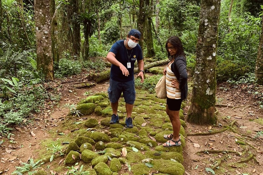 Picture 3 for Activity Paraty: Gold Trail Rainforest Hiking Tour