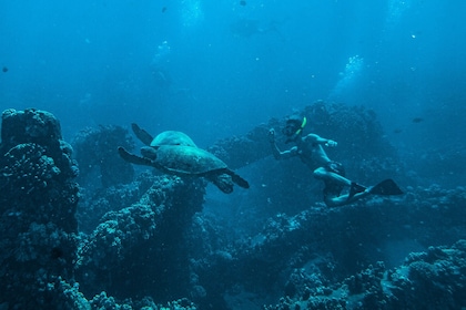 Buceo y esnórquel en la costa de Pali por la mañana