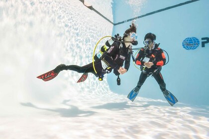 Gran Canaria: 3-tägiger PADI Open Water Diver Kurs