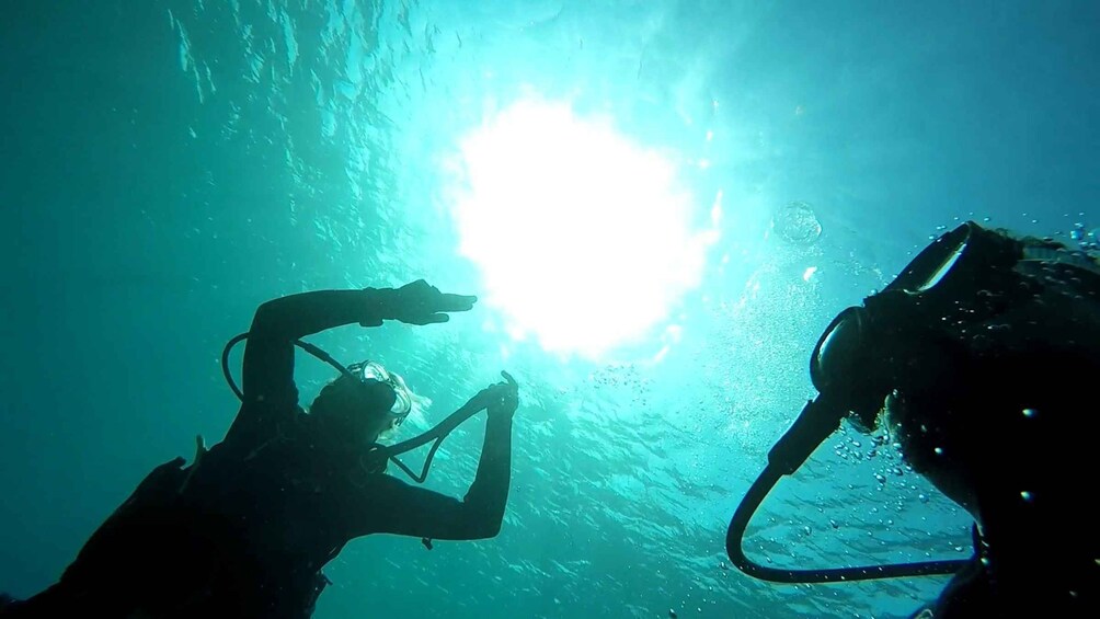 Picture 4 for Activity Gran Canaria: 3-Day PADI Open Water Diver Course