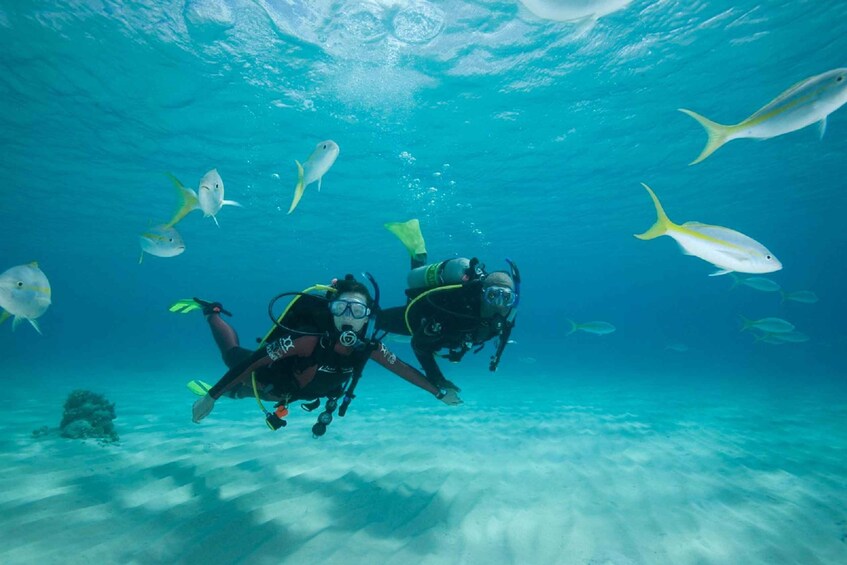 Picture 1 for Activity Gran Canaria: 3-Day PADI Open Water Diver Course