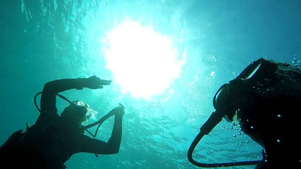 Picture 4 for Activity Gran Canaria: 3-Day PADI Open Water Diver Course