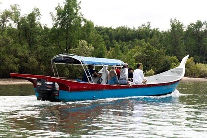 3 Hours Mangrove Boat Tour in Langkawi