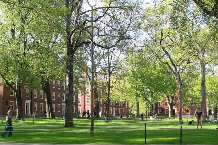 Harvard Yard