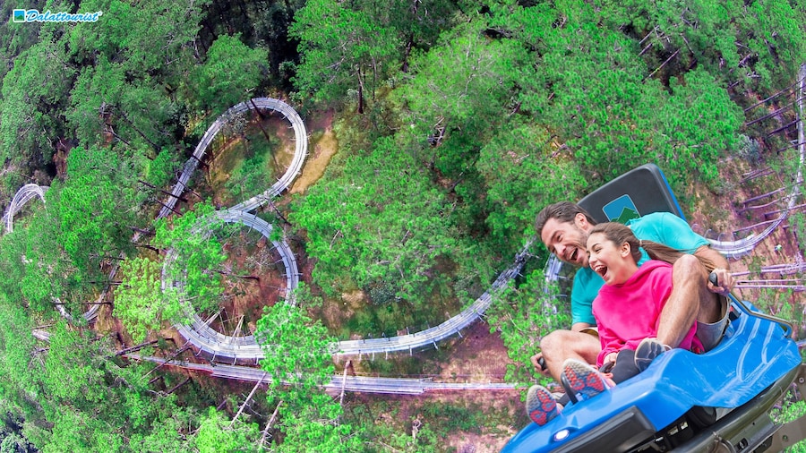 Vietnam : Datanla Waterfall & Alpine Coaster Ticket