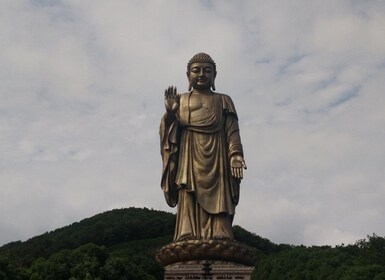 Tour privato di un giorno a Wuxi Lingshan Grand Buddha e al Lago Tai