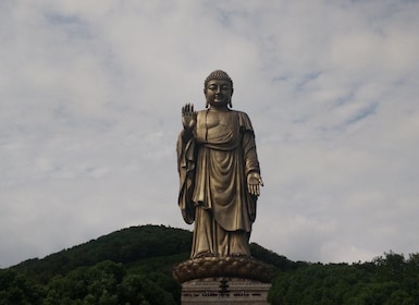 Excursión privada de un día al Gran Buda de Wuxi Lingshan y al lago Tai