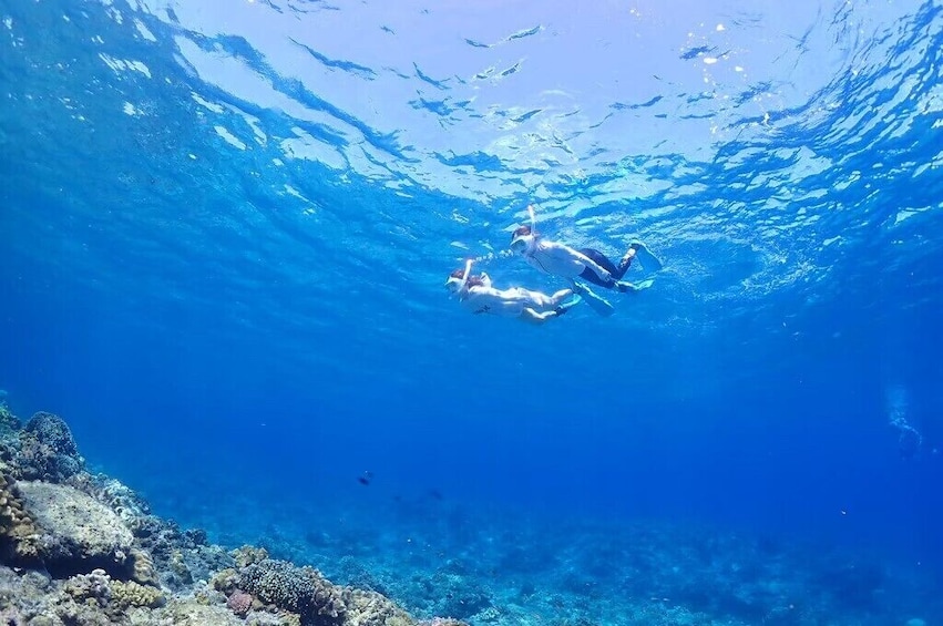 Naha / Chatan Departure Blue Cave Snorkeling Tour