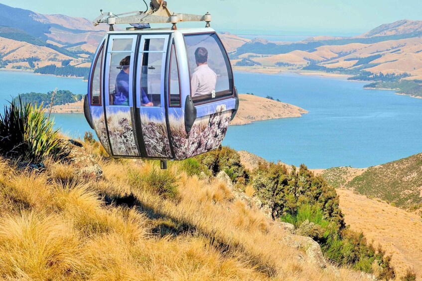 Picture 5 for Activity Christchurch: Gondola Ticket and Punt Ride on the Avon River