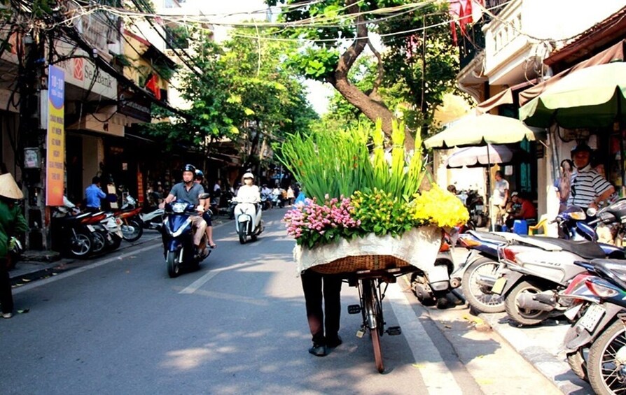 Vietnam : Full Day Private City Tour With Lunch