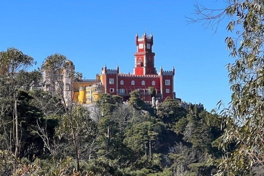 The Pena Palace was classified as a National Monument in 1910 and is the most important center of the Sintra Cultural Landscape, classified by UNESCO as a World Heritage Site since 1995.