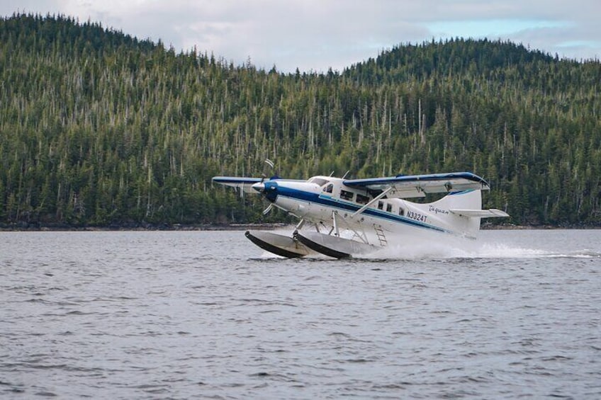 de Havilland Otter landing in Tongass Narrows