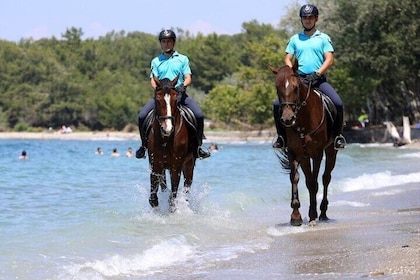 Horse Riding Tour in Antalya, on the Beach and in the Forest