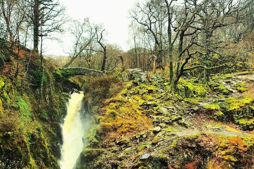 Six Lakes Lake District Tour (Half Day 4 Hours)