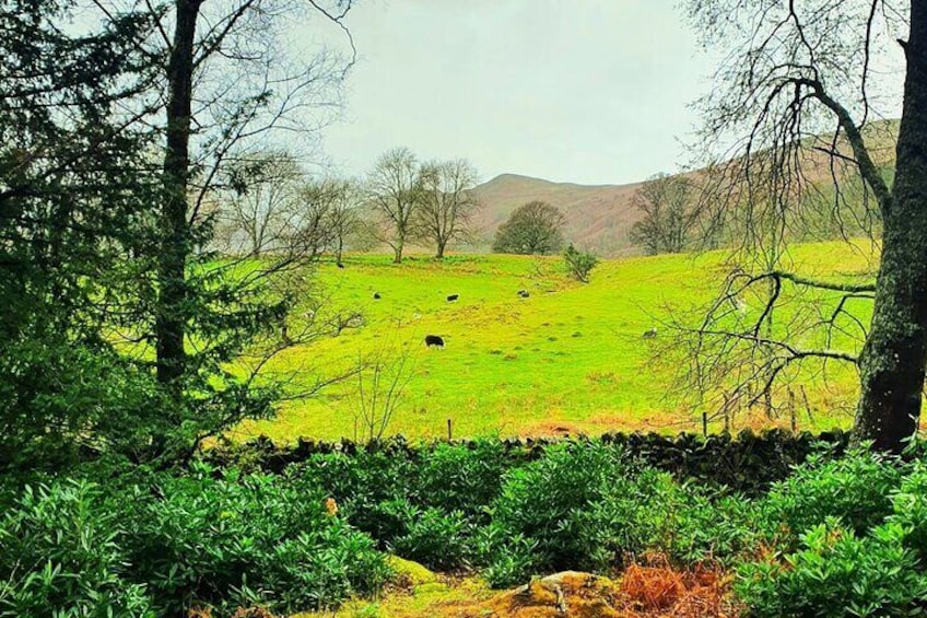 Six Lakes Lake District Tour (Half Day 4 Hours)