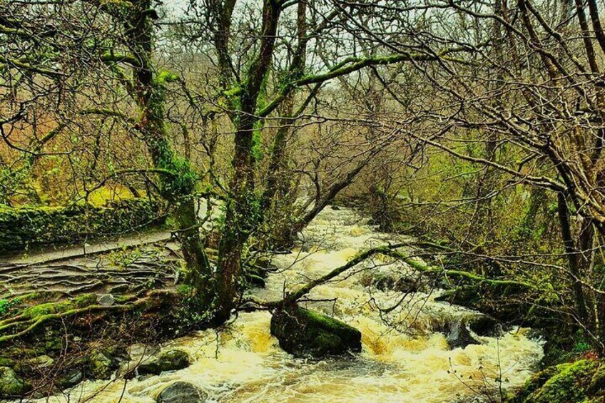 Six Lakes Lake District Tour (Half Day 4 Hours)