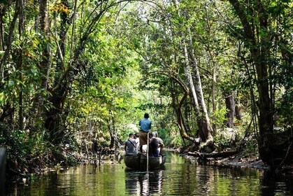 Half Day Village Houseboat Tour (from Cruise terminal in Kochi)