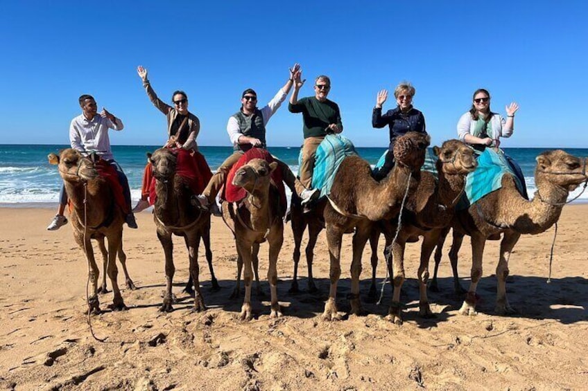 Sunset Camel Ride on Achakkar Beach including Traditional Dinner