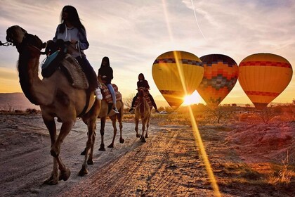 Cappadoce : Safari à dos de chameau