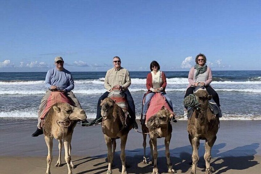 Authentic Private Tangier Tour from Estepona Camel Ride & Lunch 