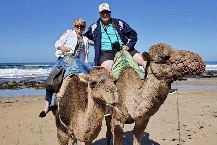 Authentic Private Tangier Tour from Estepona Camel Ride & Lunch 