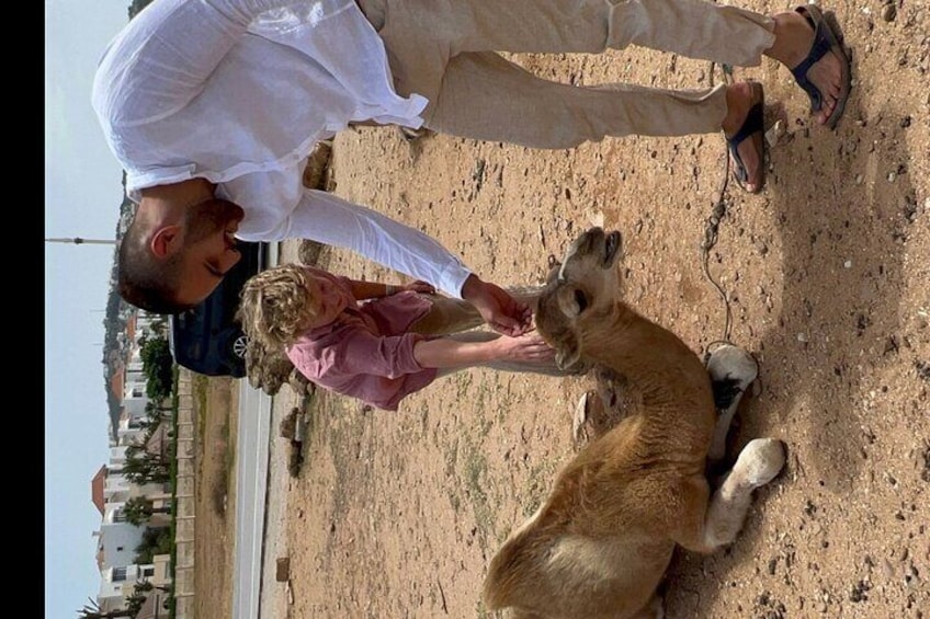 Authentic Private Tangier Tour from Estepona Camel Ride & Lunch 