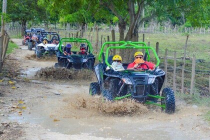 Four Wheel or Buggy Tour plus Lunch included shore excursion