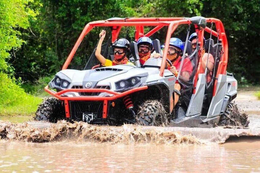 El Yunque Rainforest UTV Ride and Adventure