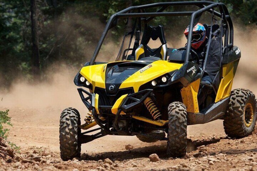 El Yunque Rainforest UTV Ride and Adventure