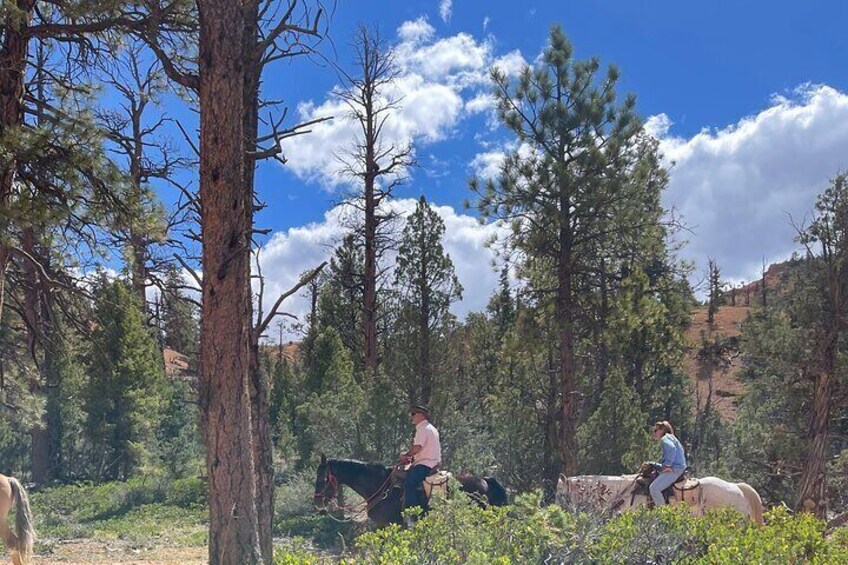 Ruby's Horseback Adventures All Day Ride