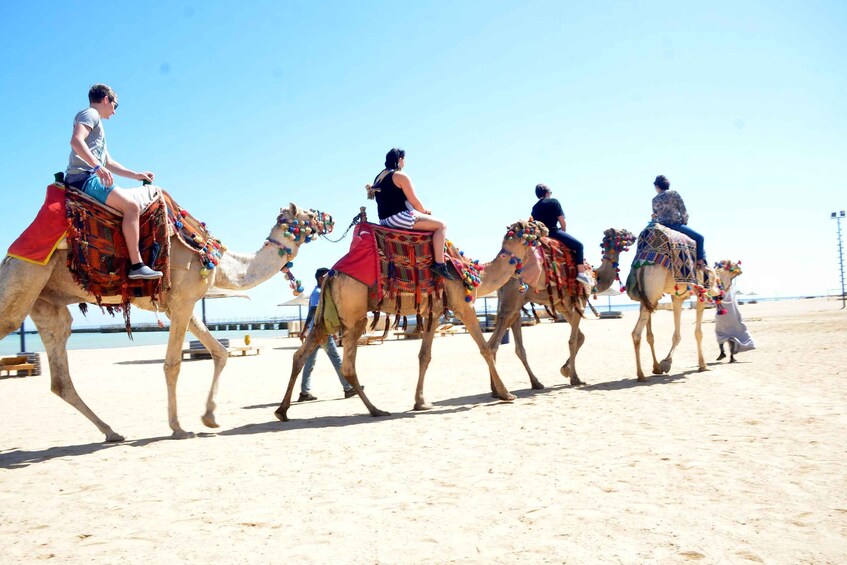 Picture 1 for Activity Hurghada: Sea & Desert Camel Ride w/Dinner, Show, Stargazing