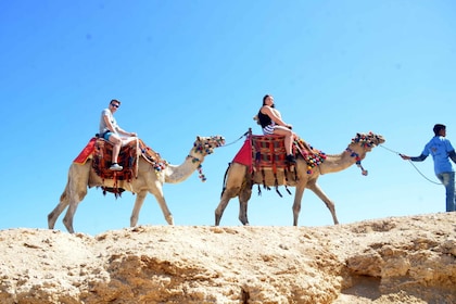 Hurghada: Giro in cammello nel mare e nel deserto con cena, spettacolo e os...
